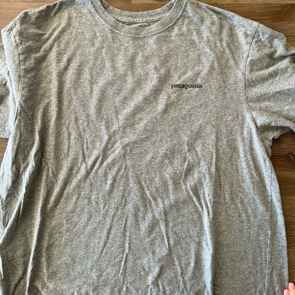 Mens Patagonia T Shirt